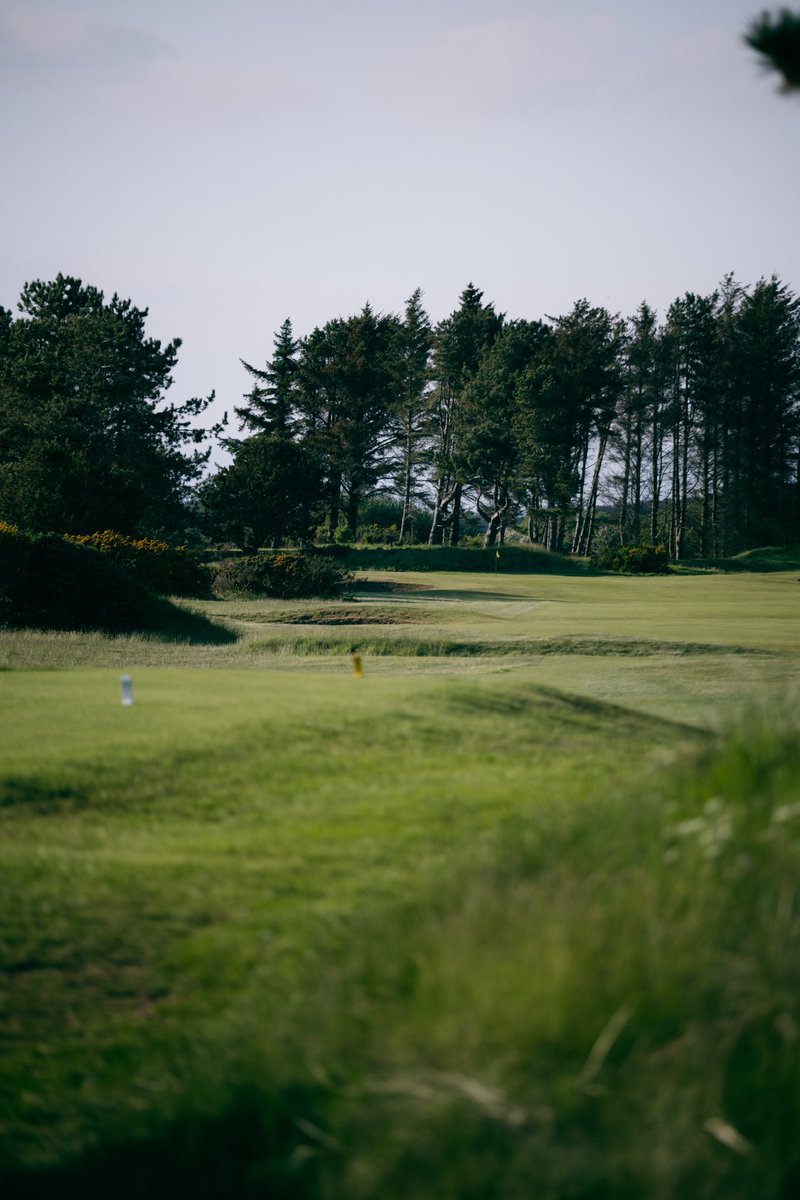 Barassie_KBGC's tweet image. Story Time: Why Kilmarnock (Barassie)

In 1887, 14 visionary men gathered at the George Hotel in Kilmarnock, laying the foundation for the club and building 9 holes.

Then in 1894 new land was secured at Barassie just 9 miles west, enabling links golf and better access by rail.