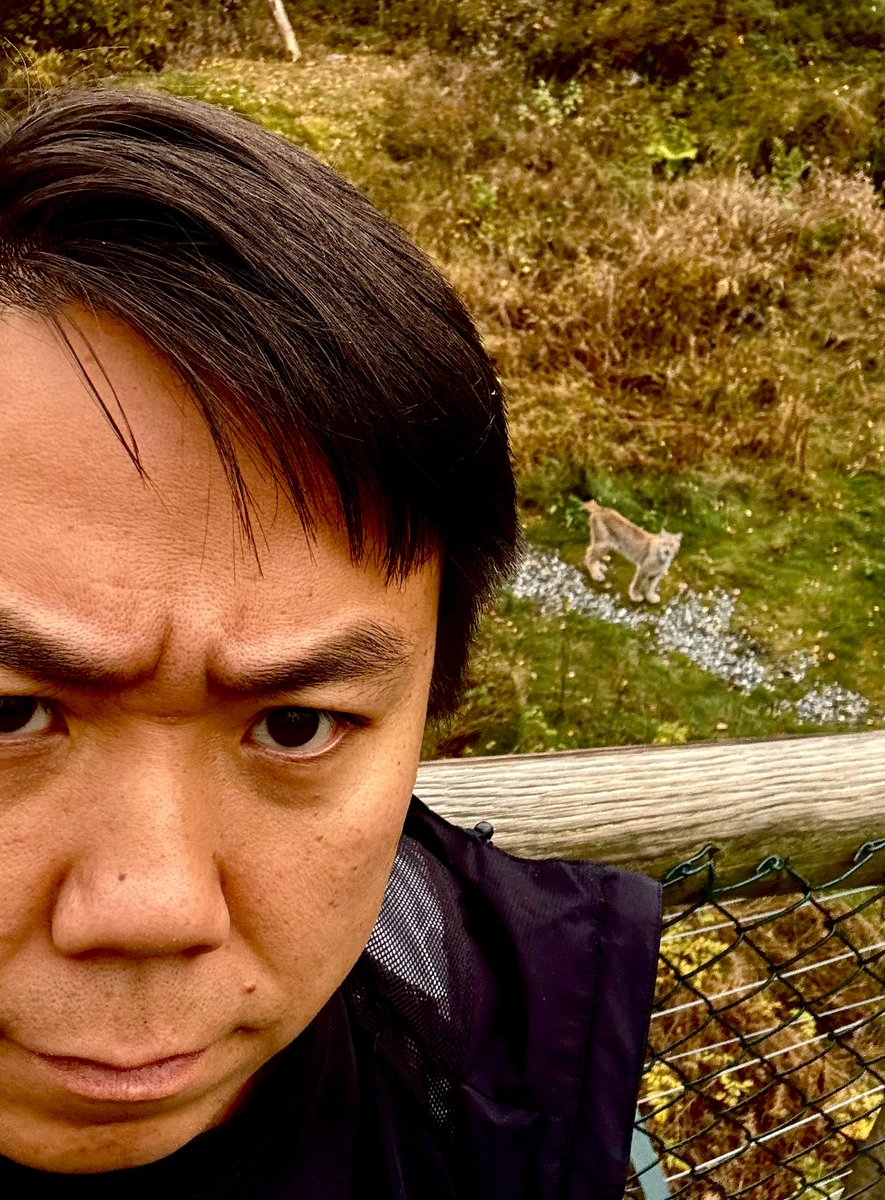 Hvilken fjott i NFF har satt opp sesongens viktigste Brann-kamp, samme tid som det er mating av gaupene i Bjørneparken? 

Da vil de jo ikke ha folk til å se kampene da.