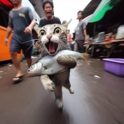 vuhaiminh7's tweet photo. Cat steals fish
MKC 8K
 0x18f9a6b85246e7dacabf14ad1b53df14d4824444

$PALU
@BNBchain

@YZiLabs

@GiggleAcademy

@binance 

#cat #funny #fail https://t.co/estPUHnzYX