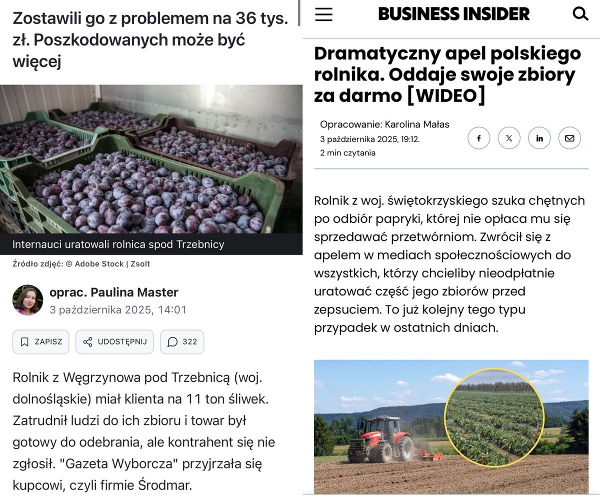 SasinJacek's tweet photo. Rolnik z Gałkowic oddaje swoje zbiory za darmo, bo koszt zbioru przewyższa sprzedaż. Kilka dni temu sadownik spod Trzebnicy został z 11 tonami śliwek, których nikt nie odebrał. Tak wygląda dziś polskie rolnictwo pod rządami Tuska — sieci handlowe i nieuczciwi pośrednicy bezkarnie niszczą tych, którzy karmią Polskę. Państwo nie działa, rolnicy bankrutują. Bezpieczeństwo żywnościowe jest ignorowane.