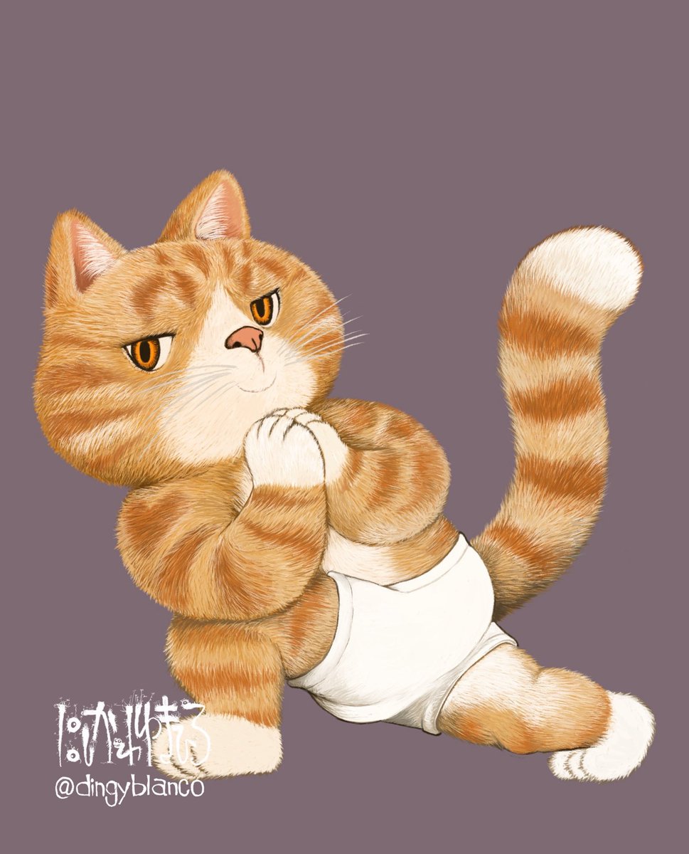 dingyblanco's tweet photo. ヨガにゃんこ https://t.co/kysmGTtBGF