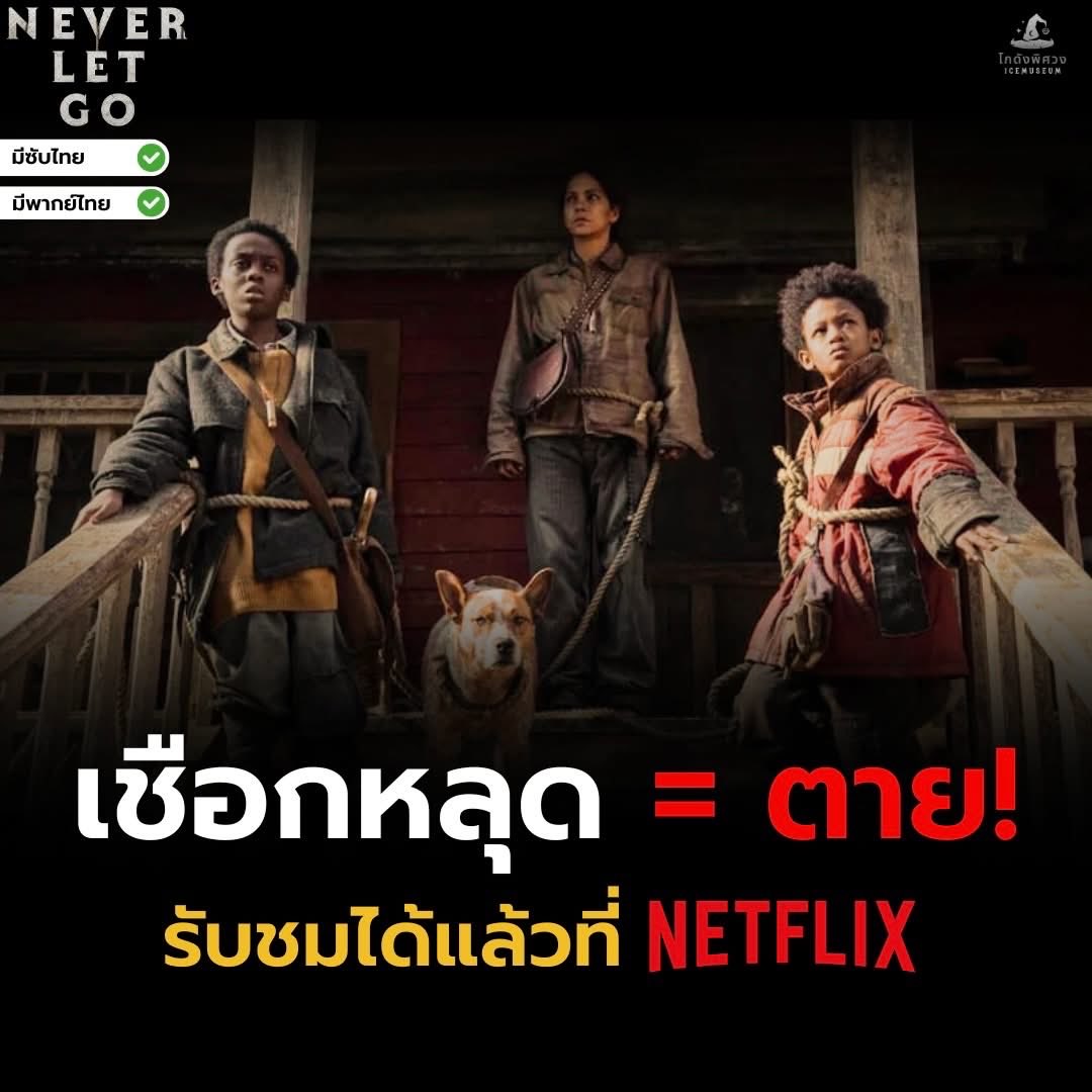 Netflix 4K พร้อมส่งมากๆ

30day 𓏳 65฿( รีทวิตลดเหลือ55฿)❕

 ꕁจอหาร (No TV)
 ꕁดูแลตลอดการใช้งาน

สั่งซื้อ✧ Dm only 

#หารnetflix #หารเน็ตฟลิกซ์ราคาถูก #หารเน็ตฟลิกซ์ #หารnetflix