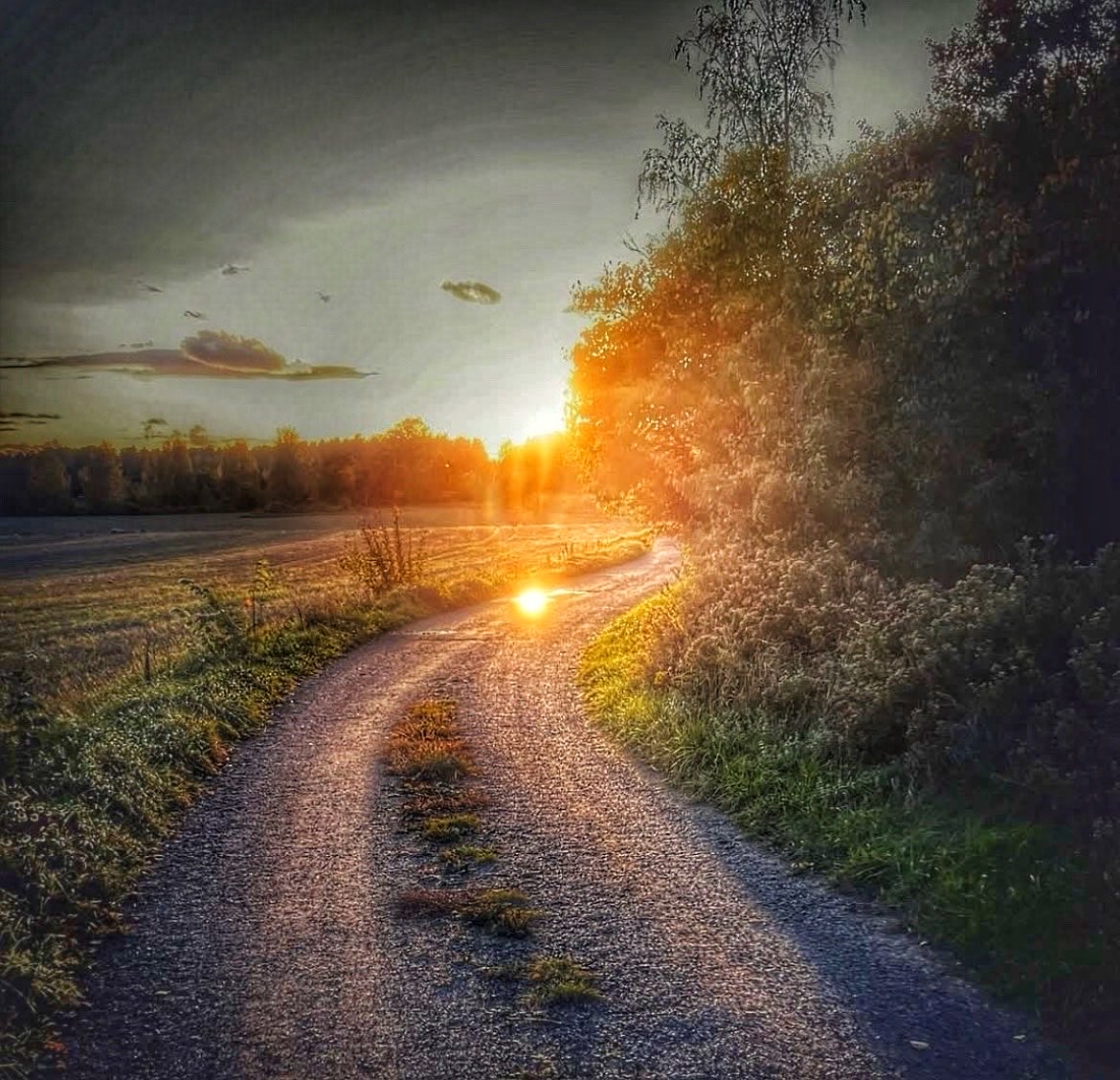 Björn Sundkvist (@sundkvistbjorn) on Twitter photo 