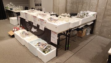 T625546314674's tweet photo. アクネク運営の皆さん
出店者のみなさん
来場、購入していただいたみなさん
そしてJCBSブース
ありがとうございました✨
あっという間の1日でした👋
#アクネク
#アクアリウムネクスト
#JCBS
#TSPLANTS https://t.co/oAPHrAxnDn