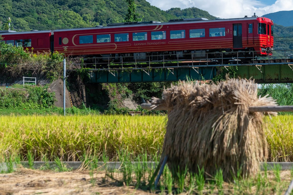 実りの秋

#伊予灘ものがたり
#予讃線