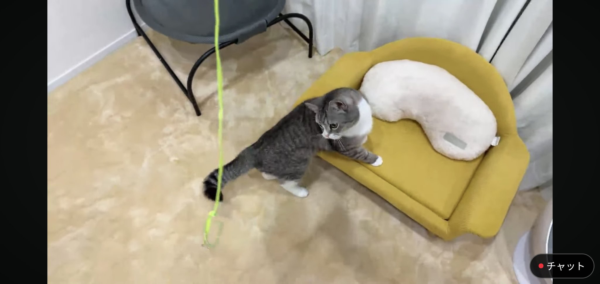 まもち 様 おまとめ♡ hqdefault.jpg