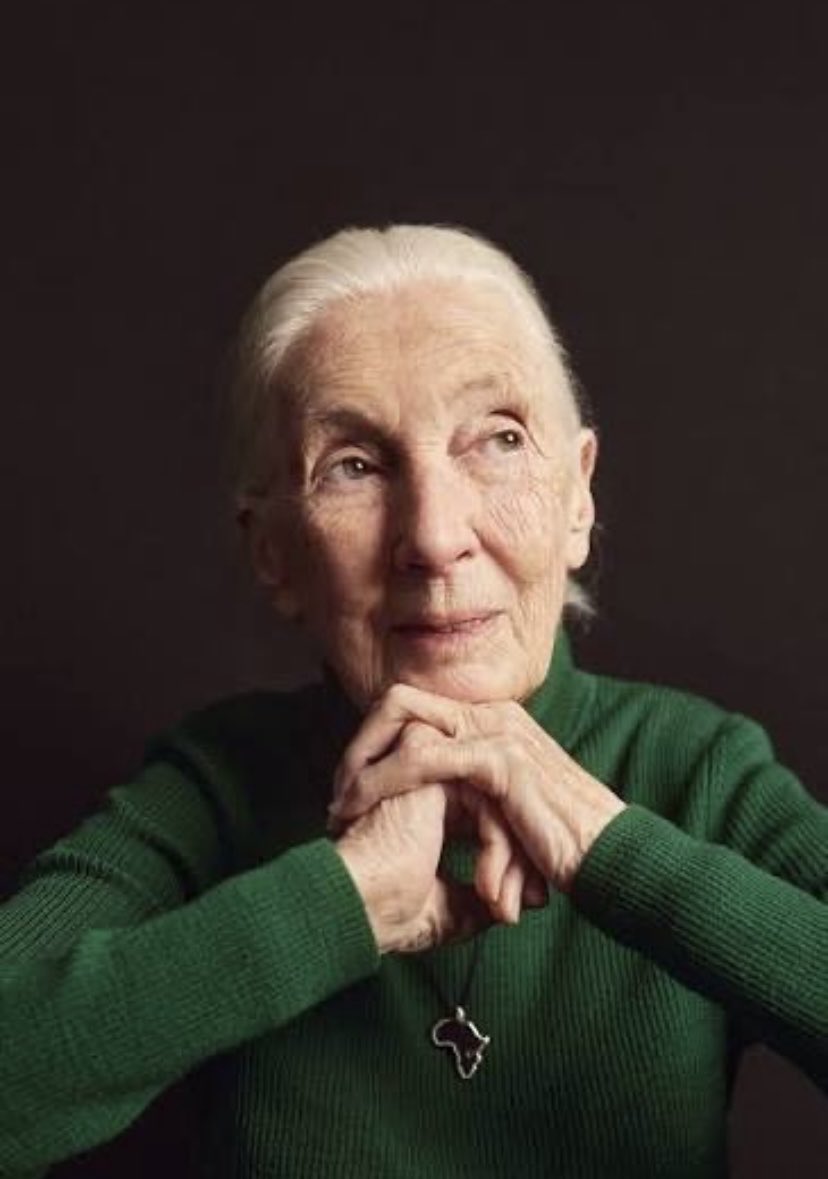 “Only when our clever brain and our human heart work together can we achieve our true potential.” Jane Goodall. Sometimes the hardest part is the stillness before things shift holding faith while the heart &amp; mind learn to move together. Rest in love, power,&amp; peace 🕊️ #JaneGoodall