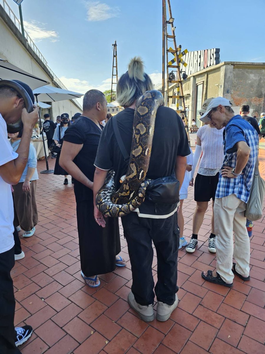 BlackShibalnu's tweet photo. 🐍 https://t.co/laebHeDmDc