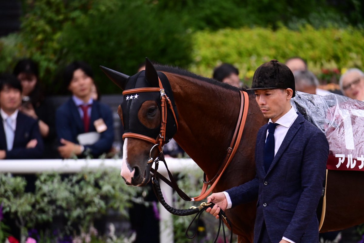 【現地】オルフェーヴル　日本ダービー【的中】 日本ダービー🏇 - Search / X