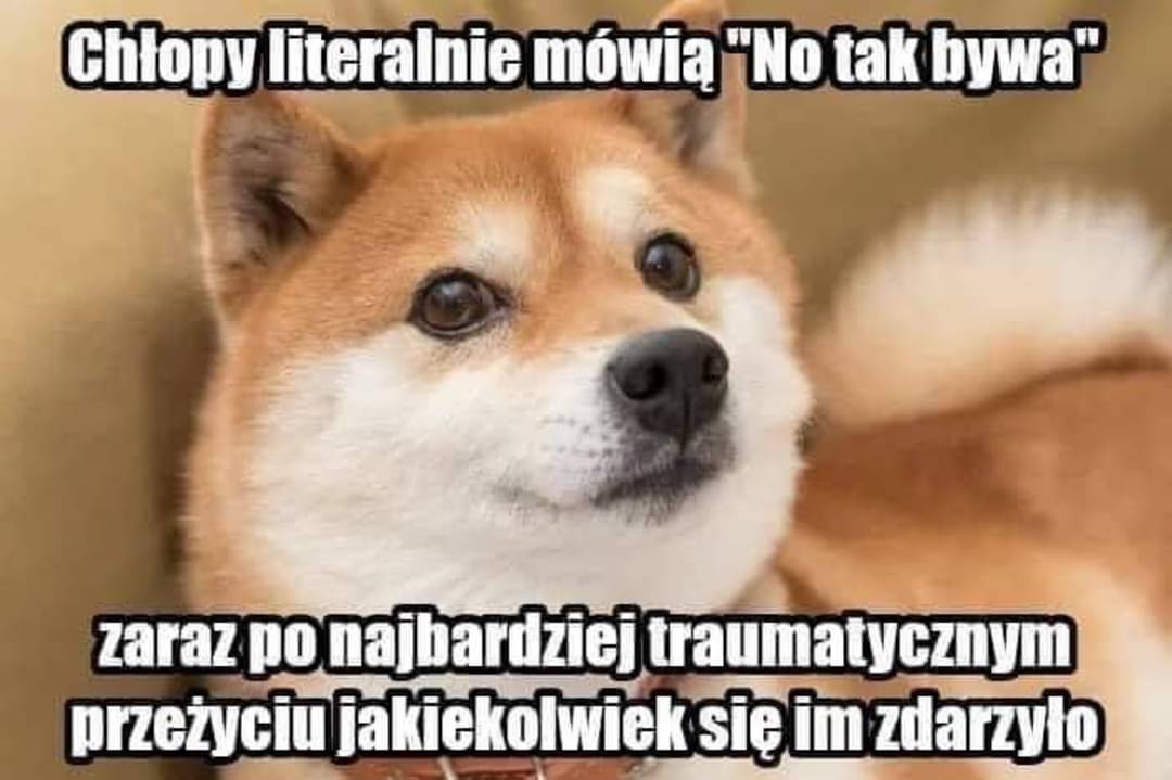 Tyler💊 tweet media