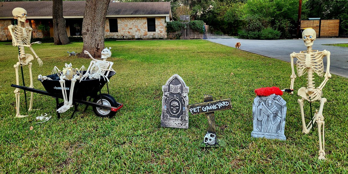 juelkitty's tweet photo. Day 5: Fall cleaning #31DaysOfHalloween #SKELEWEEN2025 #Skeletons #atx #bonescrew #Halloween2025 #fallcleaning https://t.co/vjmvOh66QG