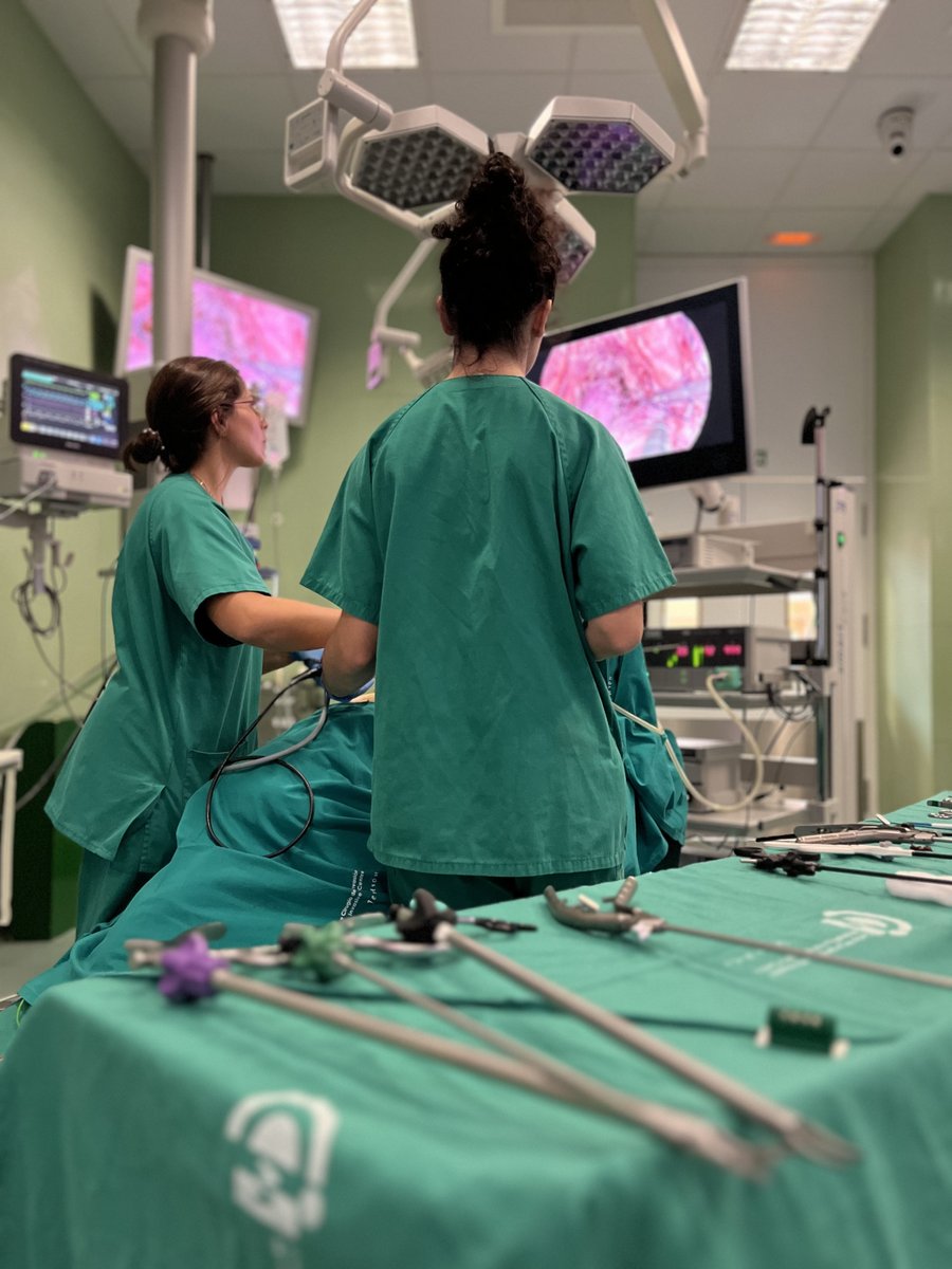 ccmijesususon's tweet photo. 📍 En el CCMIJU hemos acogido la Estancia de Formación en Cirugía Laparoscópica Urológica de la mano de Ipsen Pharma, impulsando innovación y excelencia en la formación médica.
#Urología #Laparoscopia #IpsenPharma #CCMIJU https://t.co/1Y5VzHukEO
