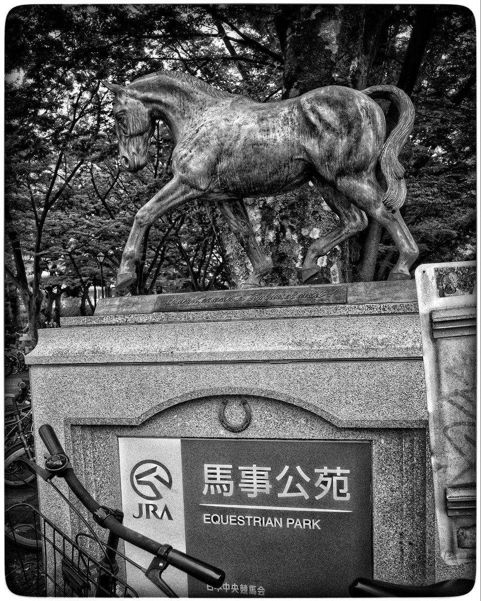 dontaro_nkm's tweet image. 30年間、世田谷区に住んでいたので、実家での会話にも馬事公苑というワードは聞き慣れたものだった。しかし、足を踏み入れたことはなかった。

9月23日はJRAの『愛馬の日』というイベント。初めて入った。流鏑馬、甲冑競馬、古式馬術等々、興味深いプログラムが多く楽しめた。

#馬事公苑　#都市風景論