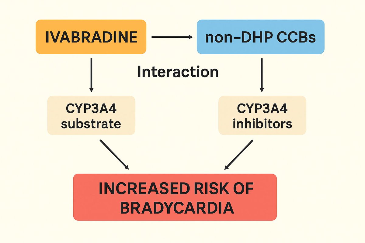 Ivabradine ❌ Non-DHP CCBs

Concomitant use Non-DHP CCBs (verapamil and diltiazem) &amp; Ivabradine is contraindicated or strongly discouraged in many guidelines (e.g., ESC, FDA label).

⚠️ Drug Interaction Risk via CYP3A4:

● Ivabradine is a CYP3A4 substrate: It relies heavily on