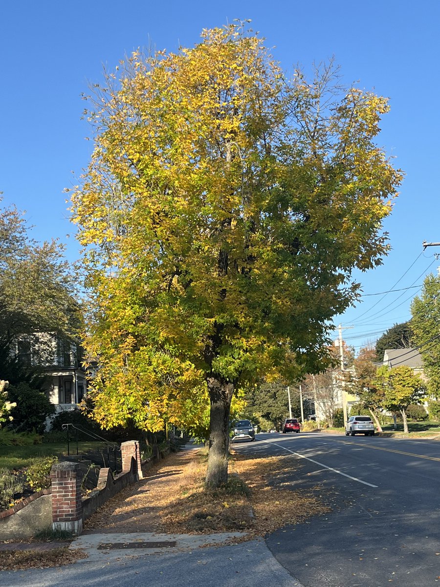 Though the bricks may often be bumpy may you find your spot and splashes of color. Happy Sunday all.
