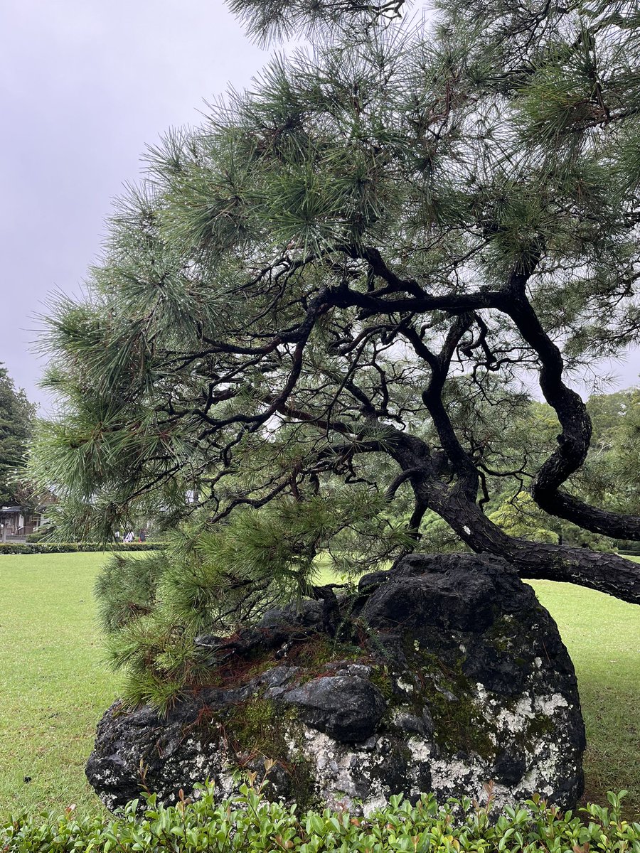 asumin_min0218's tweet image. 伊勢神宮〜⛩️

御朱印もらってきました。

伊勢神宮は何度いっても素敵な場所☘️
楽しかったー♪

#旅行
#旅女