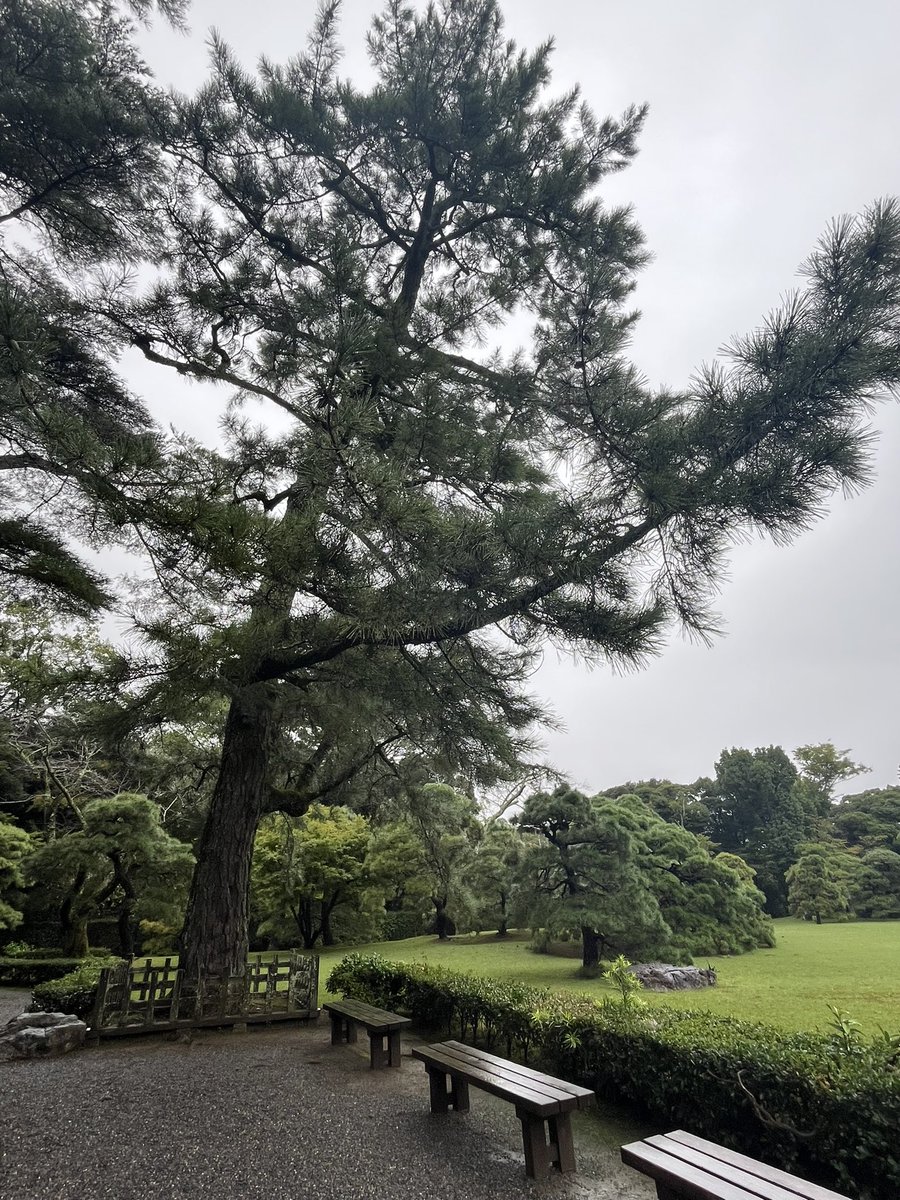 asumin_min0218's tweet image. 伊勢神宮〜⛩️

御朱印もらってきました。

伊勢神宮は何度いっても素敵な場所☘️
楽しかったー♪

#旅行
#旅女