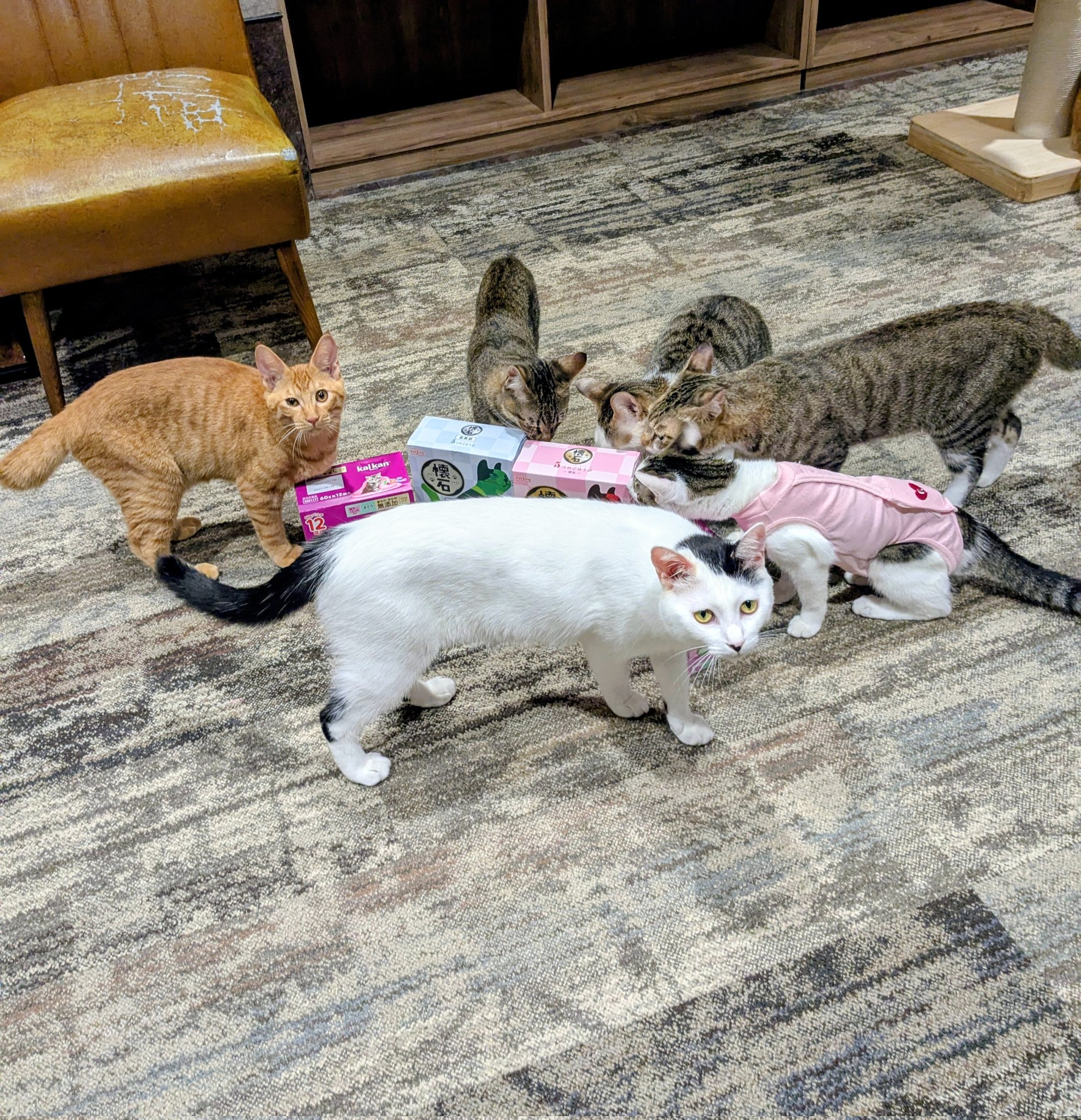 ちゃーる☺（感謝） ありがとうたーくん - البحث / X