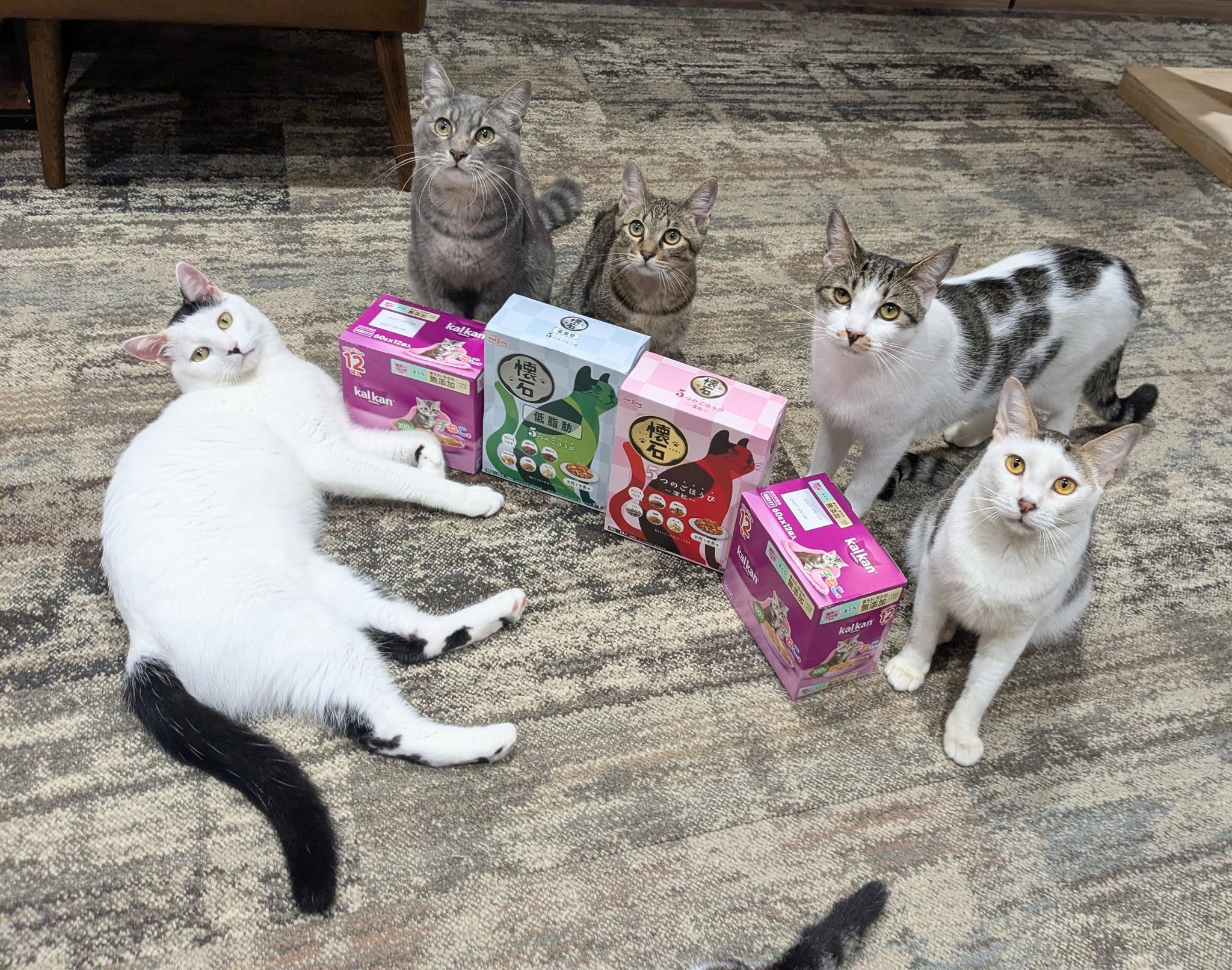 ありがとうござます - Search / X