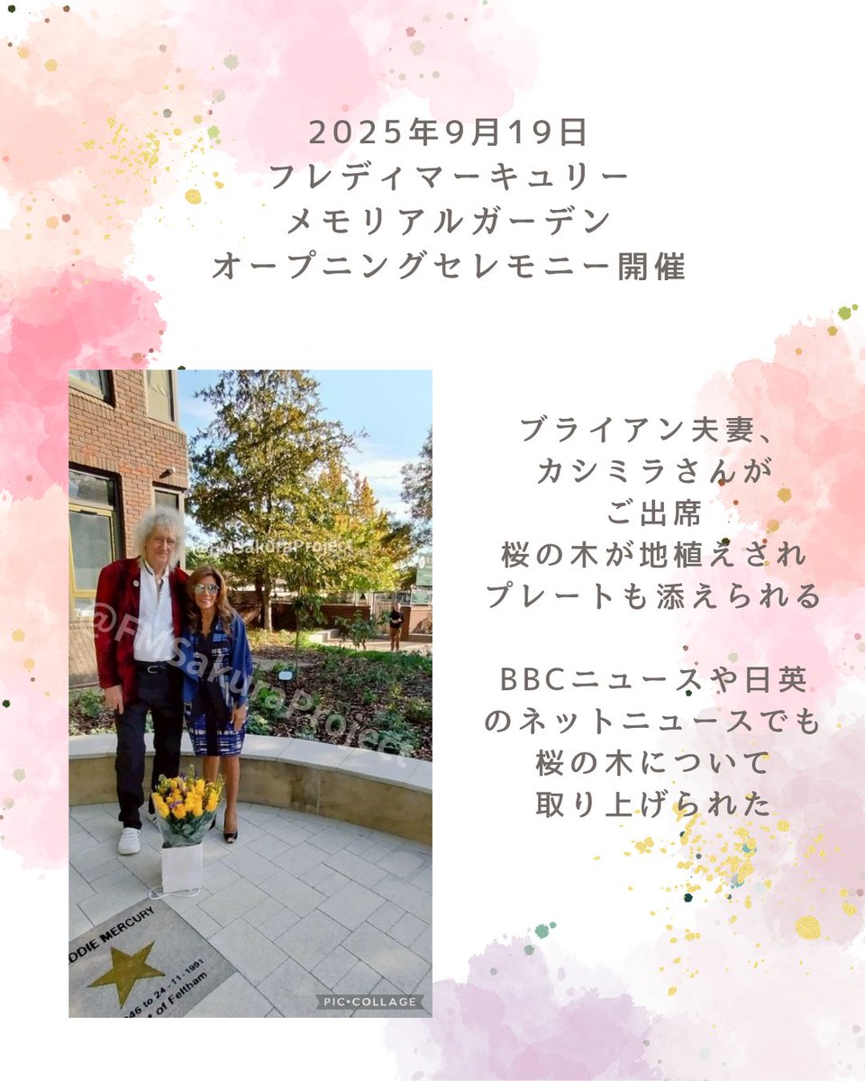 FMSakuraProject's tweet photo. 早いもので、オープニングセレモニーから半月が経ち、これまでの経緯を振り返ってみました。
ご支援くださった皆様、見守っていてくださった皆様に感謝いたします。引き続き、情報発信してまいります🌸🌸🌸🌸
#フレディ　#FreddieMercury 
#桜　#絆
#Feltham  #FelthamGreen https://t.co/YGbd9luOSJ
