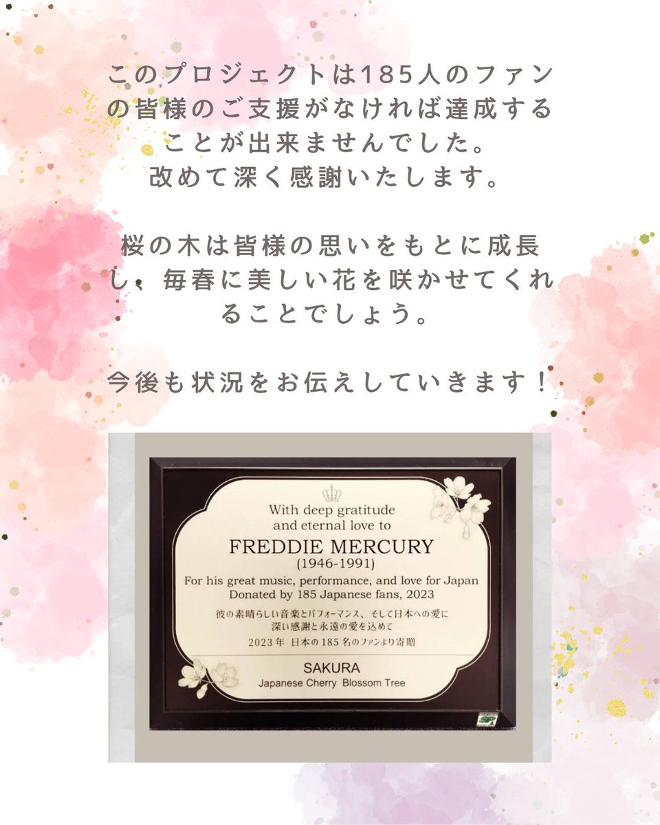 FMSakuraProject's tweet photo. 早いもので、オープニングセレモニーから半月が経ち、これまでの経緯を振り返ってみました。
ご支援くださった皆様、見守っていてくださった皆様に感謝いたします。引き続き、情報発信してまいります🌸🌸🌸🌸
#フレディ　#FreddieMercury 
#桜　#絆
#Feltham  #FelthamGreen https://t.co/YGbd9luOSJ