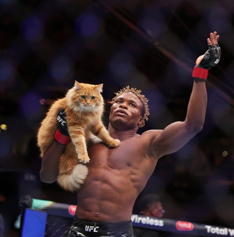 Kinda obsessed with Ateba Gautier #UFC320