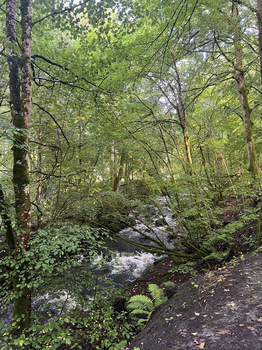 Some walking pics from 2 weeks ago