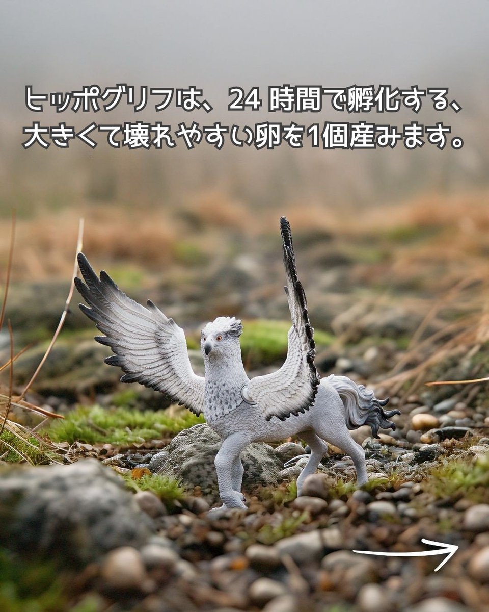 【匿名発送】【新品未使用】シュライヒ　豪華4点セット Schleich Japan シュライヒジャパン (@Schleich_jp) / X