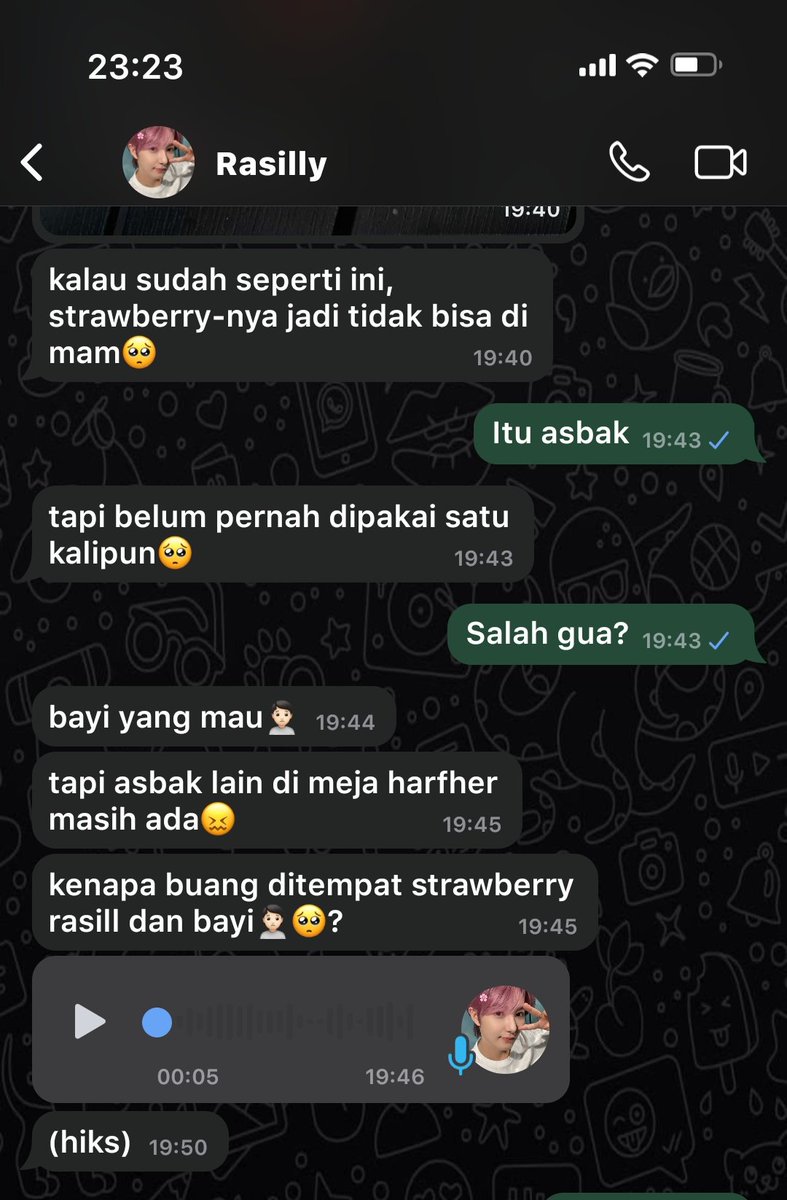 arcilatte tweet media