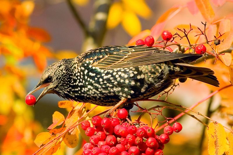 M.Daysi (@mari_daysi) on Twitter photo 