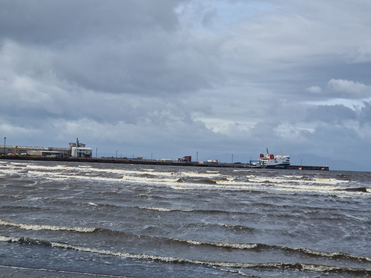 A day later than expected (courtesy of Storm Amy) and we are nearly on our way Arran - Some nice waders from Troon harbour with Golden (28) Plover, Sanderling (c15), Ringed Plover, Turnstone, Curlew &amp; Redshank with RT Diver &amp; Eider on the water <a href="/arranbirding/">Jim Cassels</a>