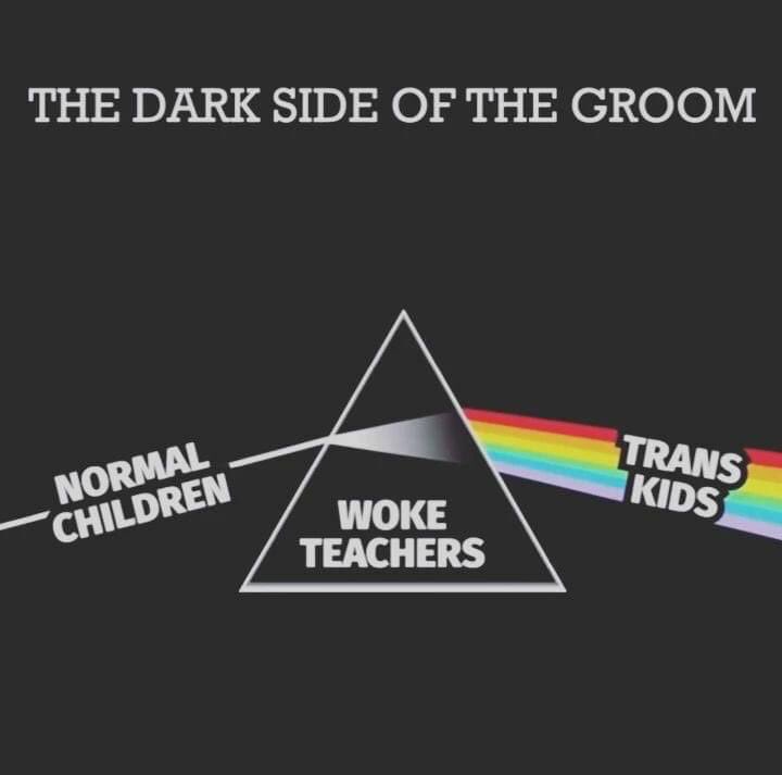 Chesschick01's tweet image. Homeschool