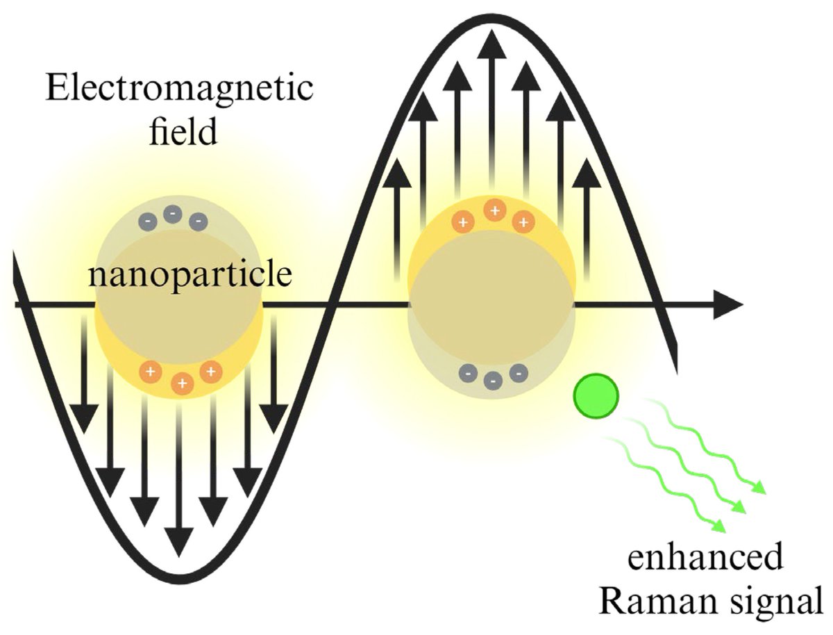 chemosens_MDPI's tweet image. #Review
Recent Strategies for MicroRNA Detection: A Comprehensive Review of SERS-Based Nanobiosensors by Sang Baek Sim, et al.
doi.org/10.3390/chemos…

@MDPIOpenAccess
#surfaceenhancedRamanscattering #microRNA #SERStag #SERSsubstrate #biomarkerdetectionmethod