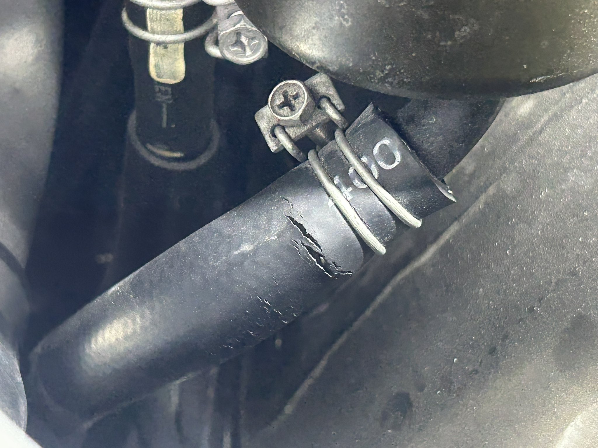 つっちーです。 ホトゴルフ | ついに最もやらなさそうなツッチーが、、まさか