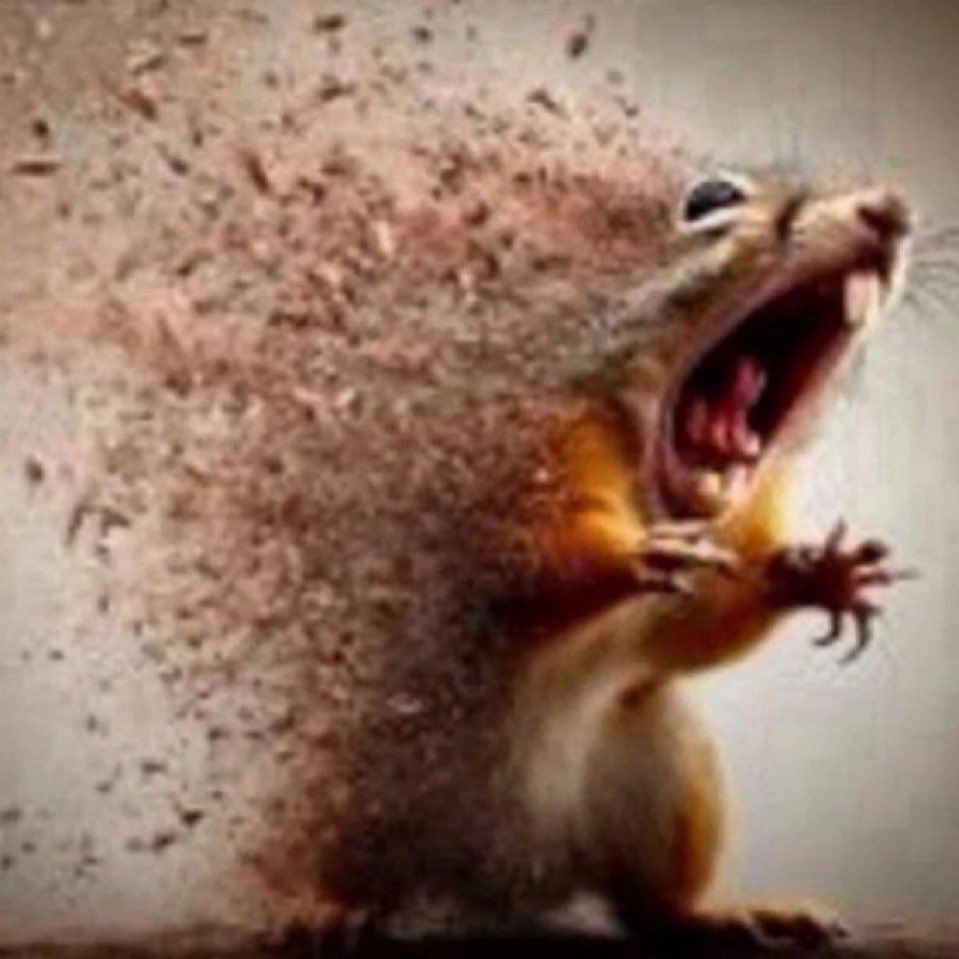 @DonaldsTrades Bro faded the HODL button..

Some coins moon. Some die. But every degen remembers the one that got away. That’s $SQUIRREL.