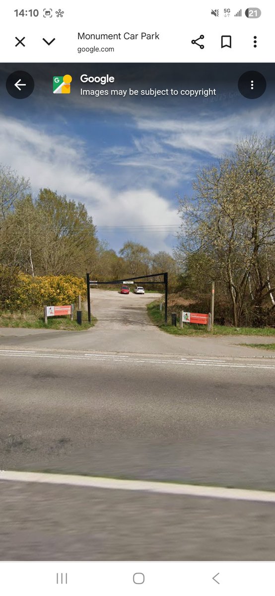 Brian's Birds tweet media