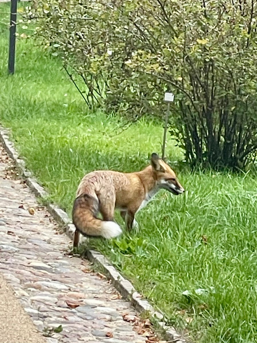 RLSS UK Warwickshire tweet media