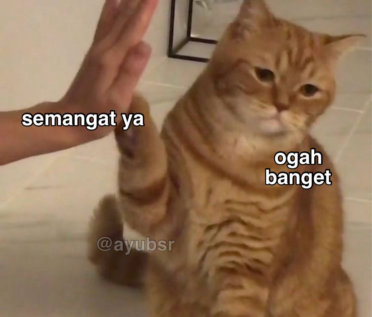 Besok bgt nih tuton?
