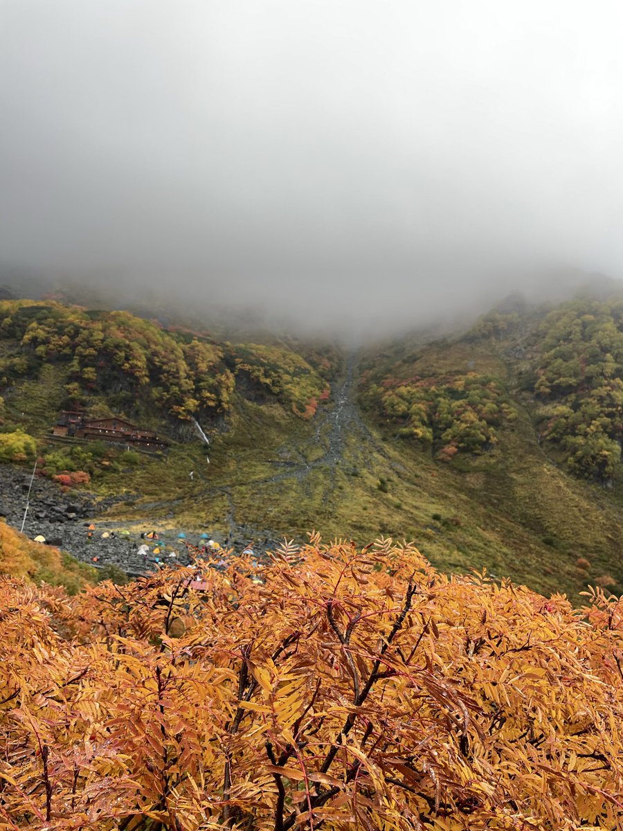 FPs9c's tweet photo. 週末は涸沢カールへ

生憎の天気☔️
朝、ガスが抜けて見頃の紅葉🍁が現れる‼️

#涸沢カール
#涸沢ヒュッテ 
#紅葉 https://t.co/xRh2rBiX6I