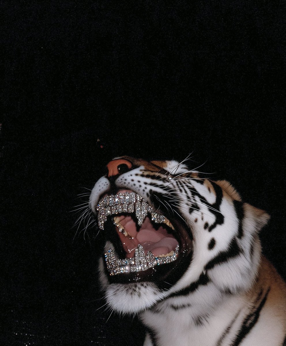 _ClankClank's tweet image. The tiger wakes.
$CLANKS unfolds.
Just watch, mfer.

Soon they’ll be like: WTF?