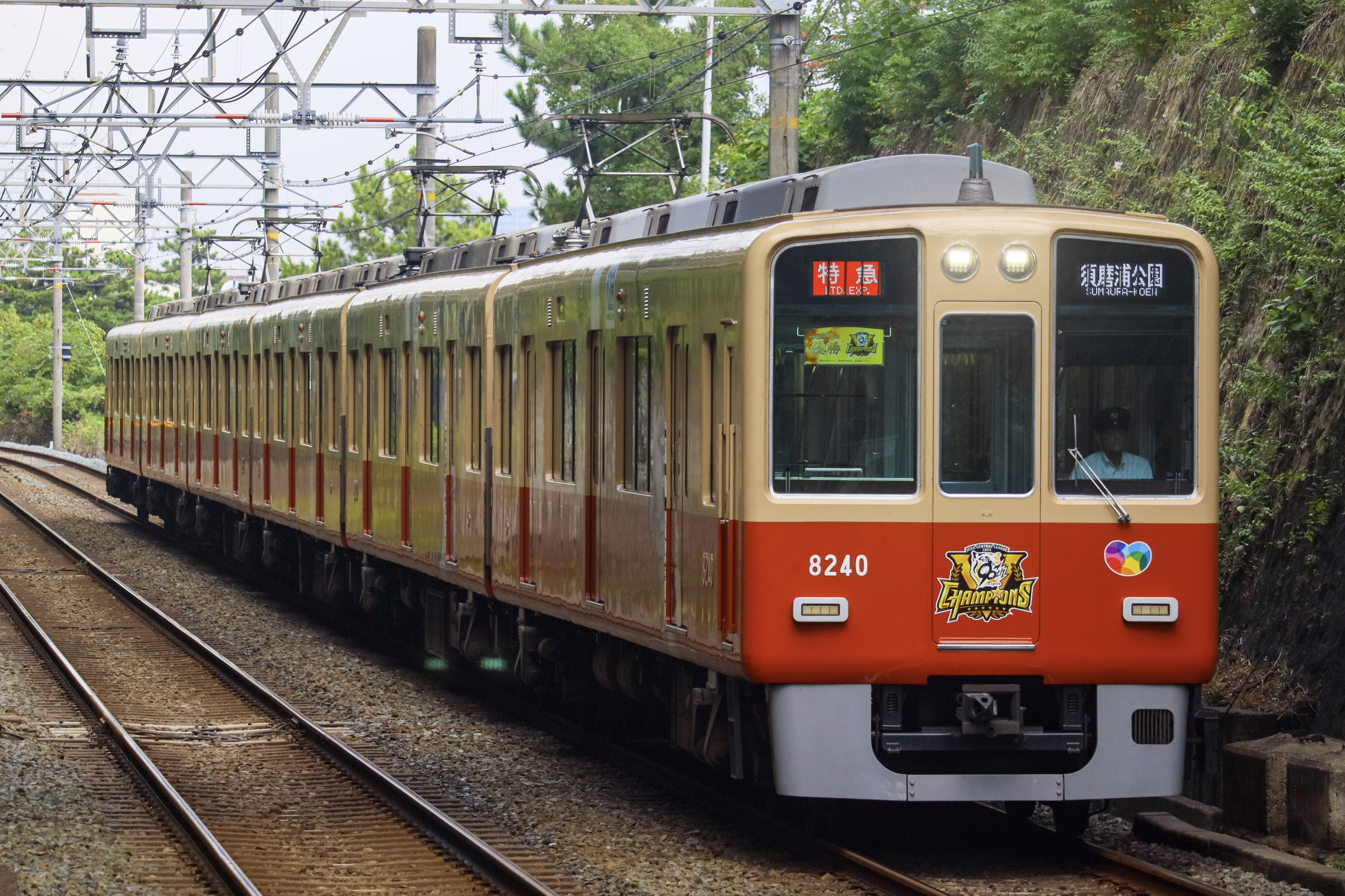 確認用☆宇奈月温泉↔︎大阪☆立山↔︎大阪　行き先プレート 確認用☆宇奈月温泉↔︎大阪☆立山↔︎大阪 行き先プレート 確認用☆