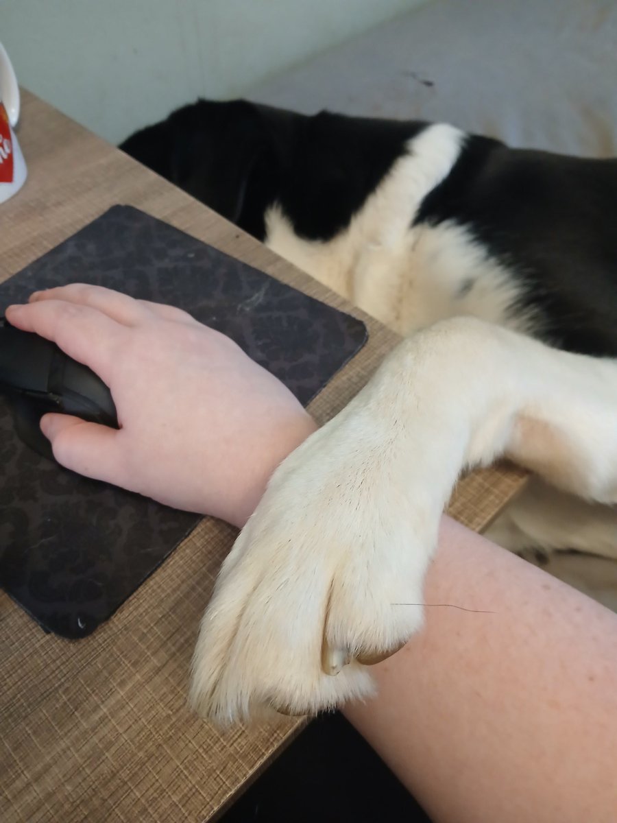 True love. Such a Mommas boy.🥰🥰