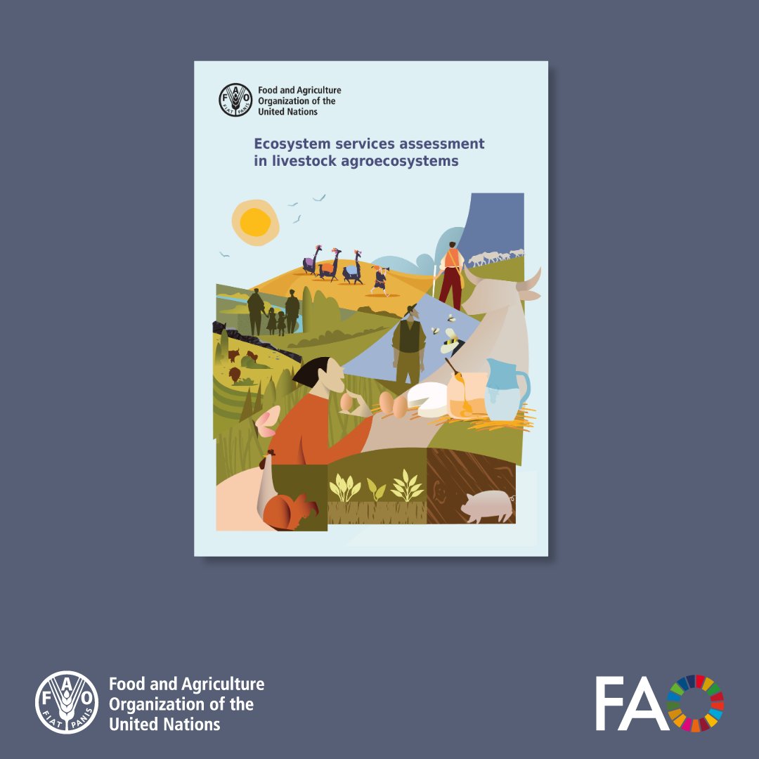 Livestock agroecosystems deliver multiple benefits – including food, cultural services &amp; soil health. 

This <a href="/FAO/">Food and Agriculture Organization</a> guide promotes a harmonized approach to assess their contribution to global sustainability.

👉 doi.org/10.4060/cd6705…