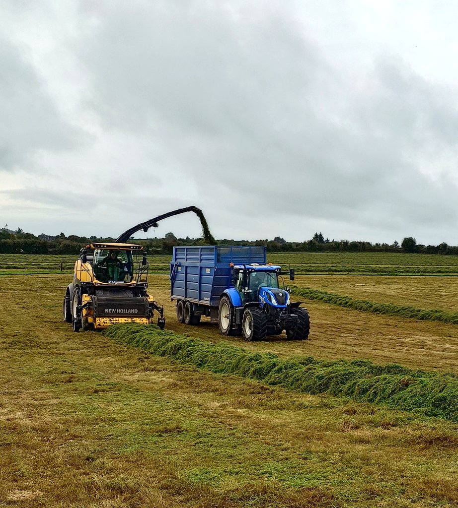 NoonanAgri's tweet photo. #maize #silage #reseeding made the most of the good weather September gave us #Ireland #keeperlit🔥 https://t.co/G4QpyzGKED