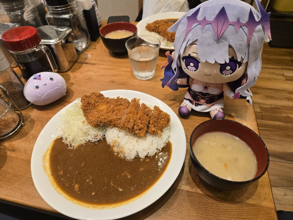 Got the annual curry meal in Japan. Chose the wrong cut of katsu, but the curry was delicious.
#LMOAI
#pebblesona