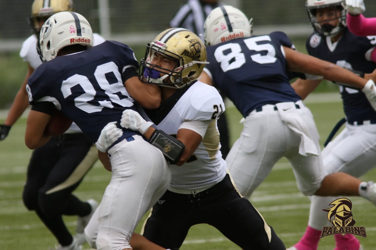 大阪公立大学アメリカンフットボール部 PALADINS (@omu_paladins