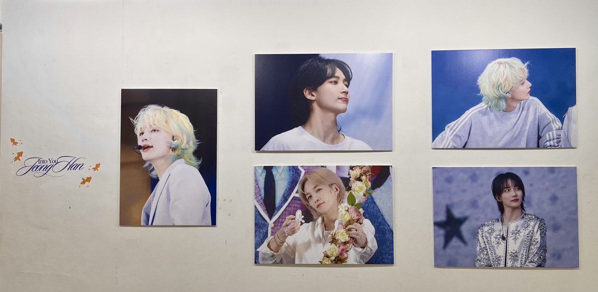 tokiicat's tweet photo. #drowning_into_jeonghan

쫑붕어가 귀여워서 홀린듯이 또 온 곳!! 
미션 완료하고 받은 쫑붕어 귀!여!워! https://t.co/vejOgkHaFL
