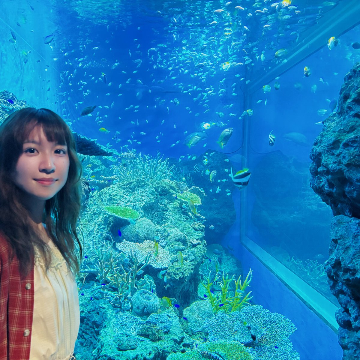 Hanana さま　専用ページ Hanana - Search / X