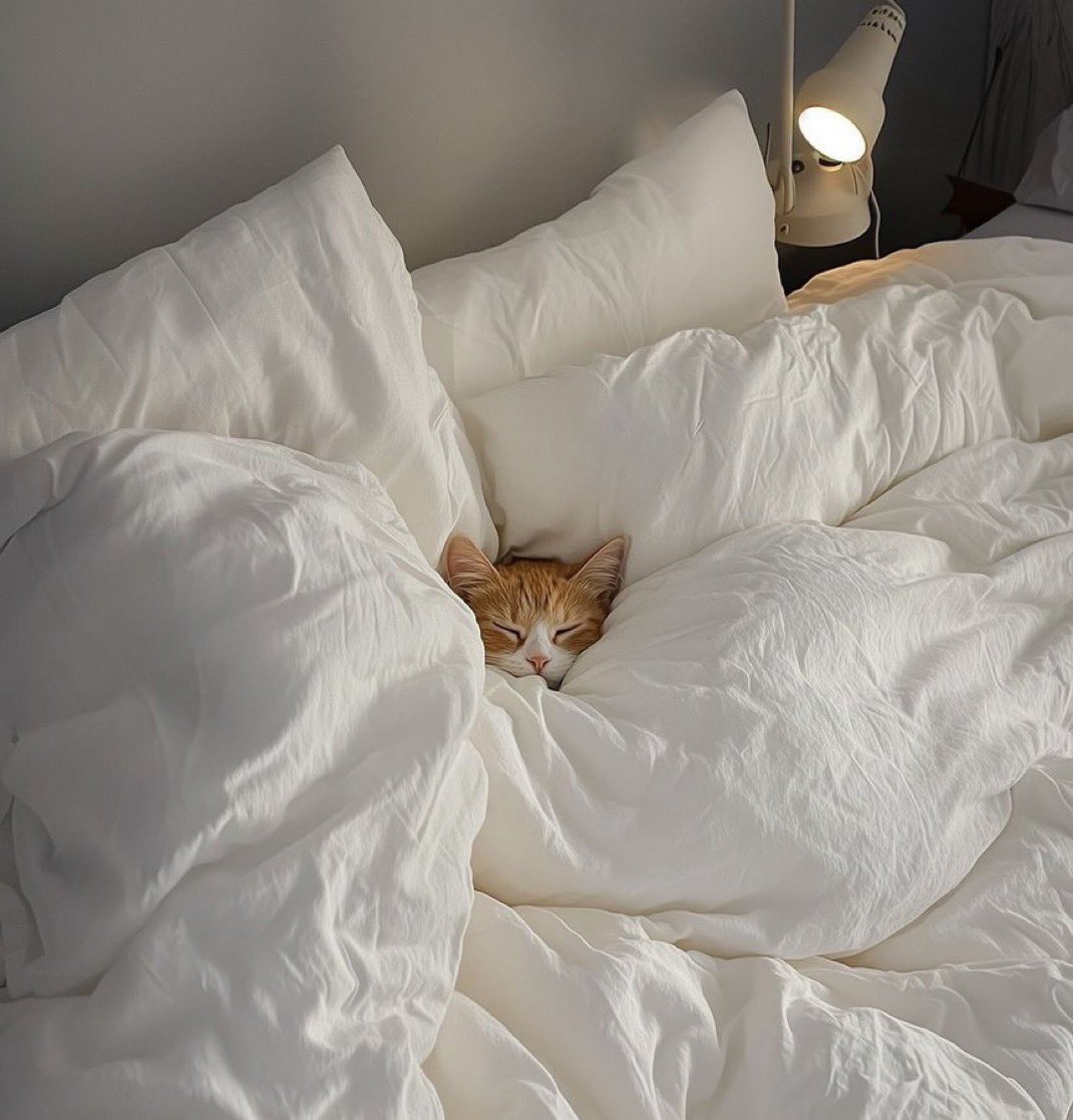 yağmurlu bir pazar günü, dışarıda fırtına, sıcacık yatak