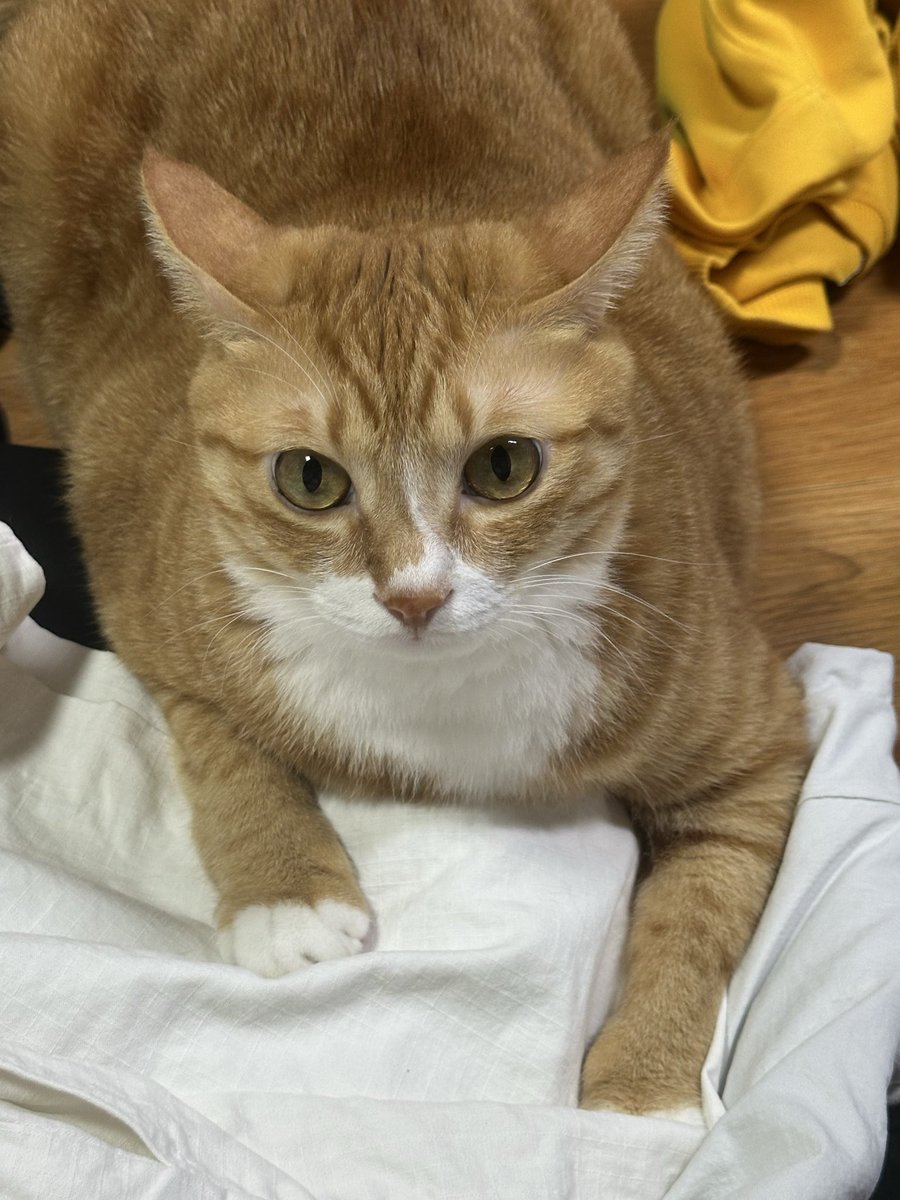 햇시 ෆ⃛ tweet media